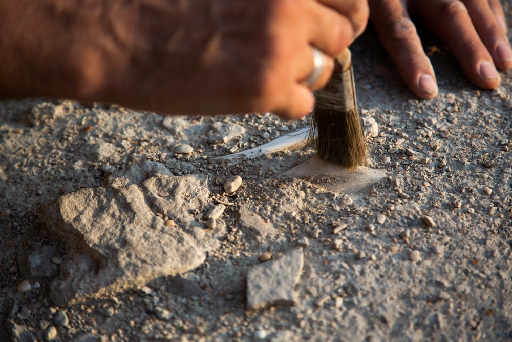 Scoperte Archeologiche in Italia – I Tesori del 2024